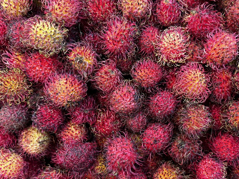 Rambutan photo 3