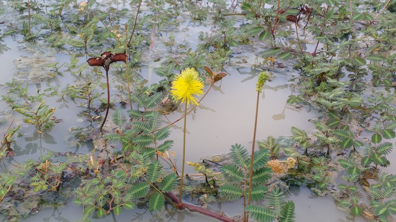Water Dead And Awake photo 3