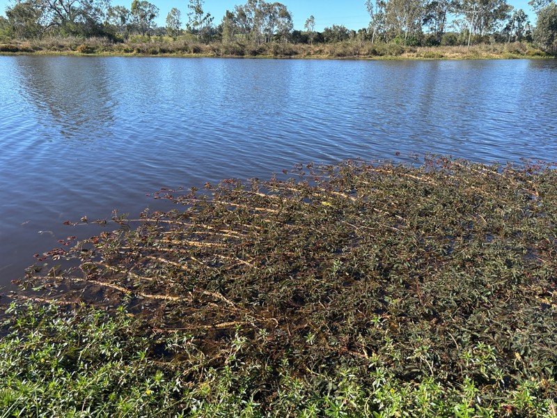 Water Dead And Awake