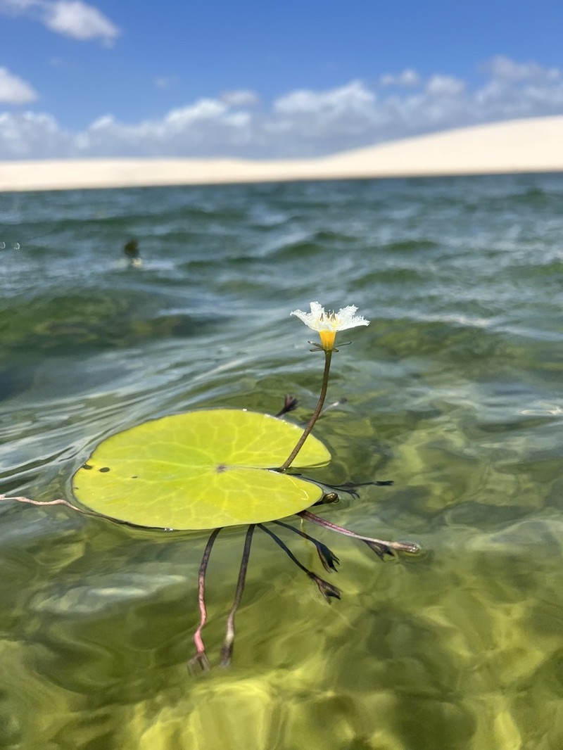 Floatingheart photo 2