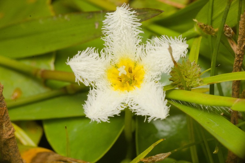 Floatingheart photo 6