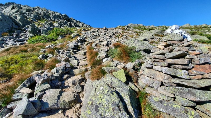 Highland Rush photo 8