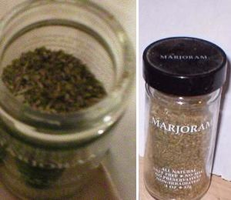 Sweet Marjoram photo 8