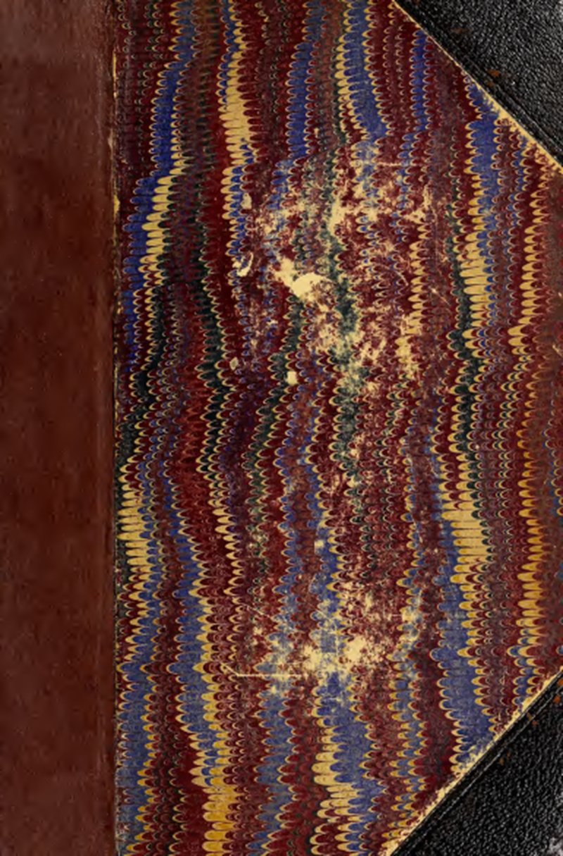 Acuminate Orthothecium Moss