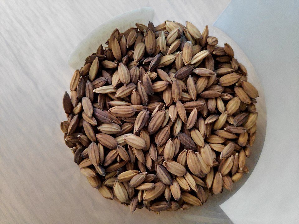 Rice photo 5