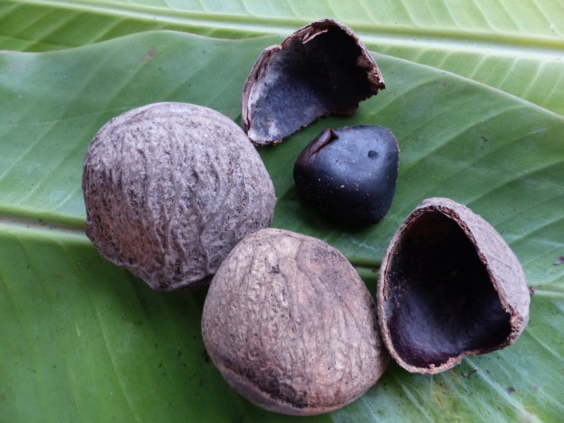 Football Fruit photo 2