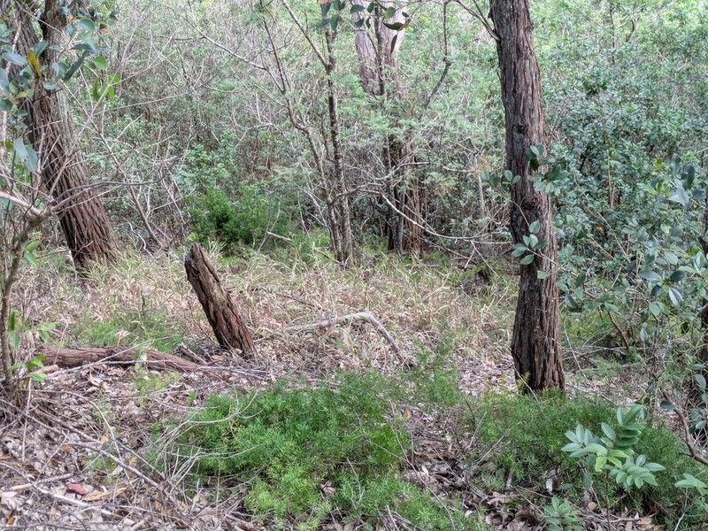 Konakona photo 4
