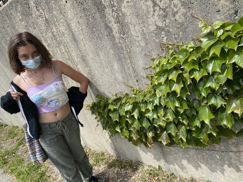 Boston Ivy photo 7