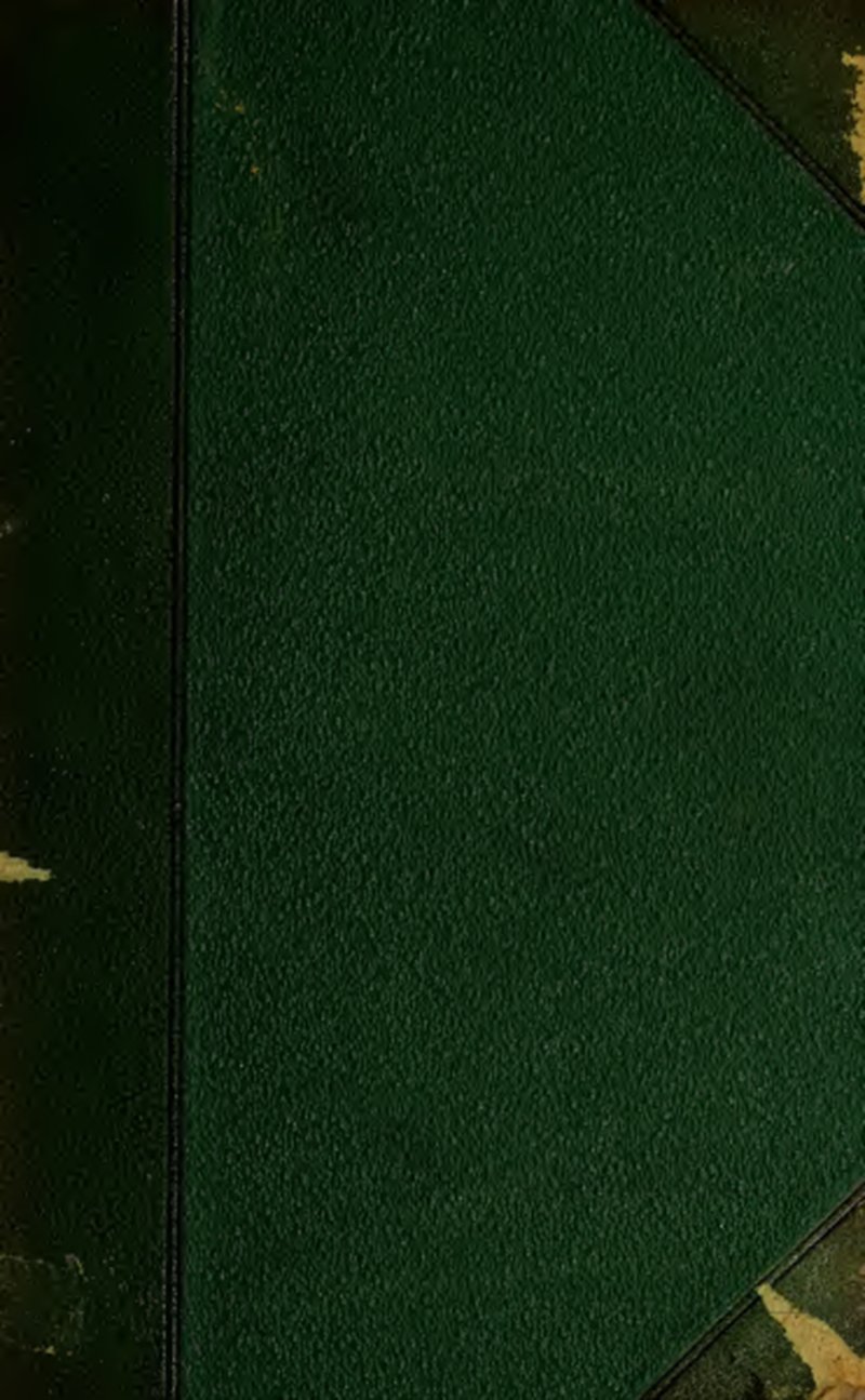 Paspalum guaraniticum