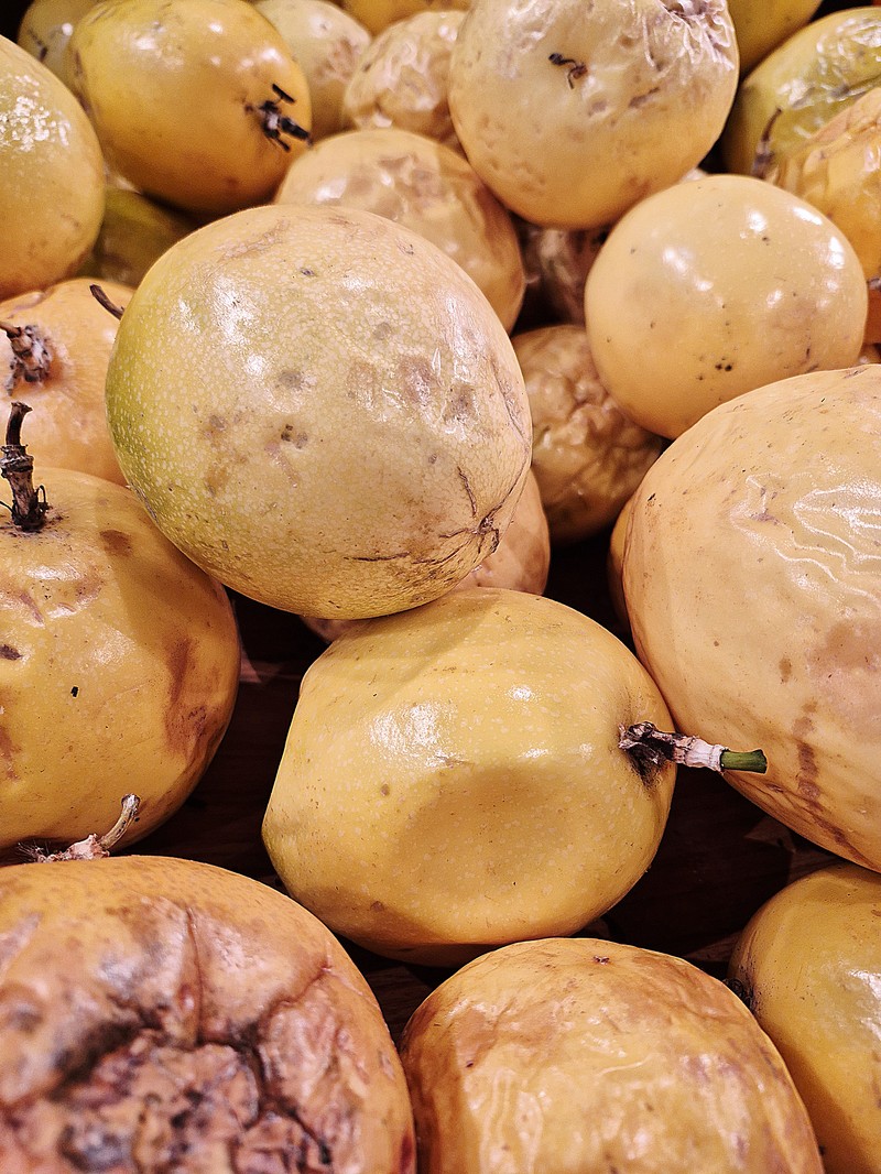 Purple Granadilla photo 5