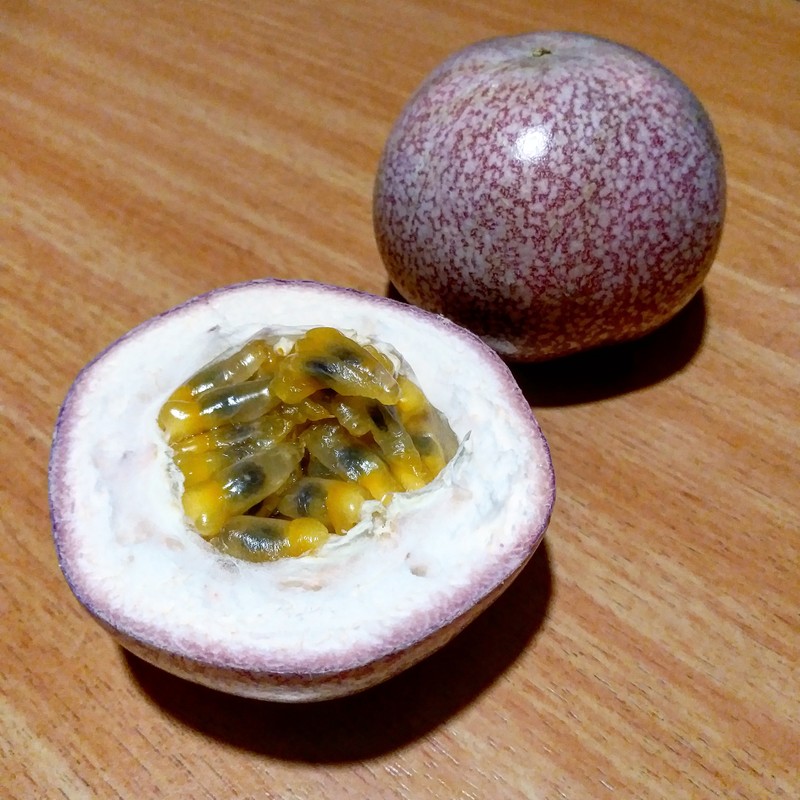 Purple Granadilla photo 6