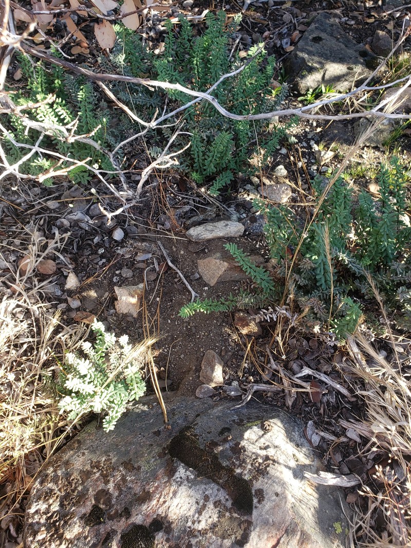 Cliffbrake photo 3