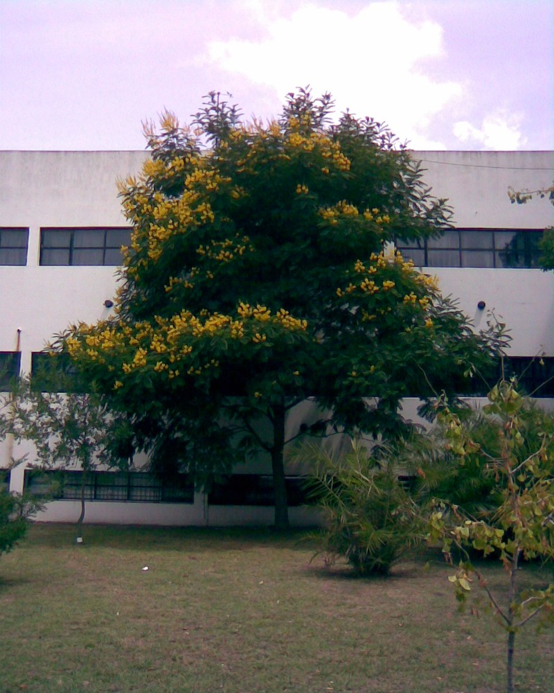 Horsebush photo 4