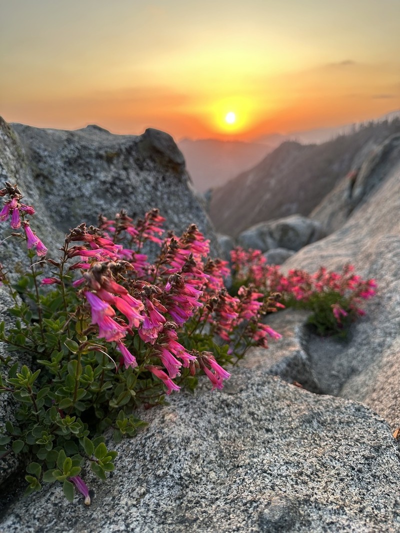 Mountain Pride photo 2
