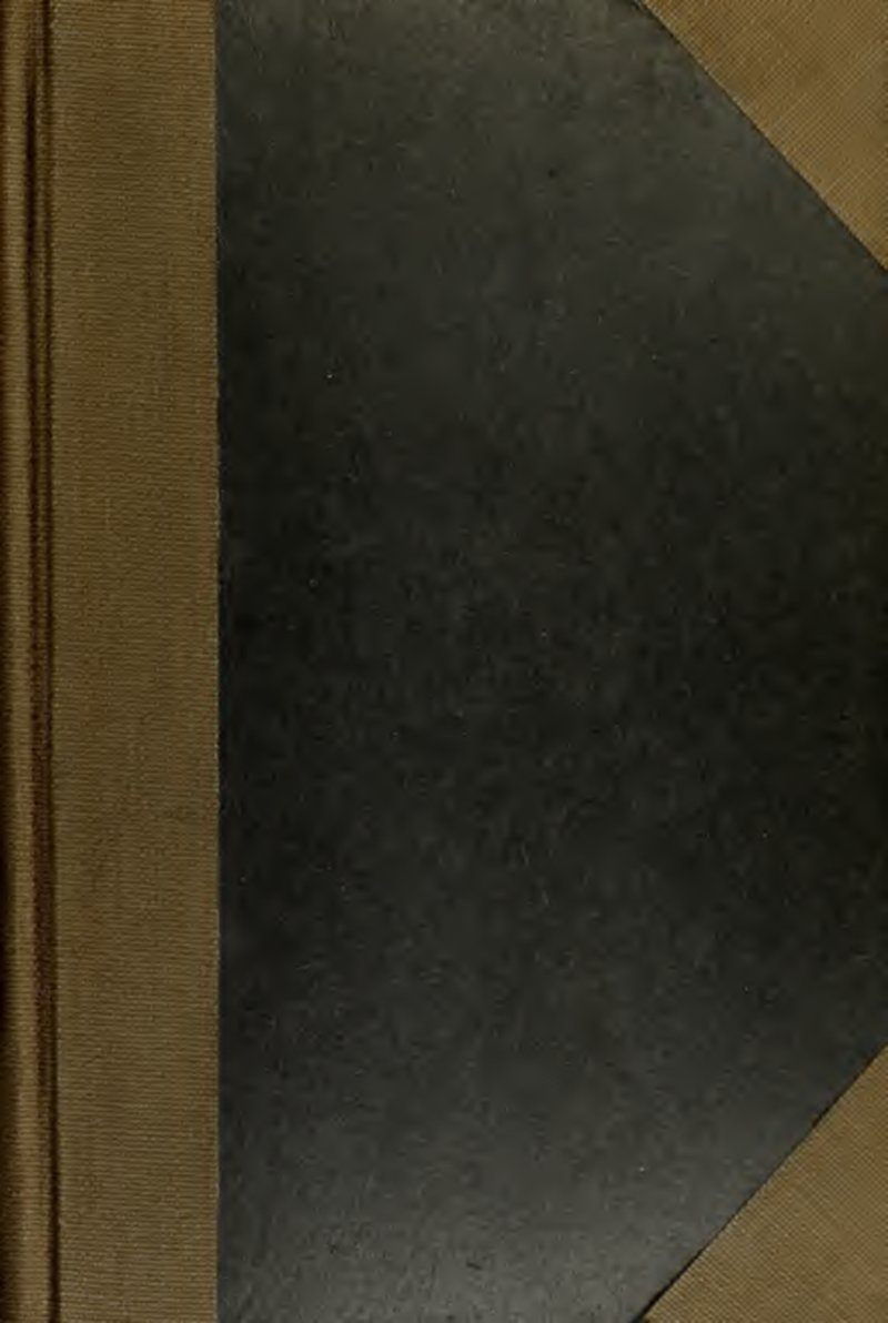 Meager Pygmydaisy