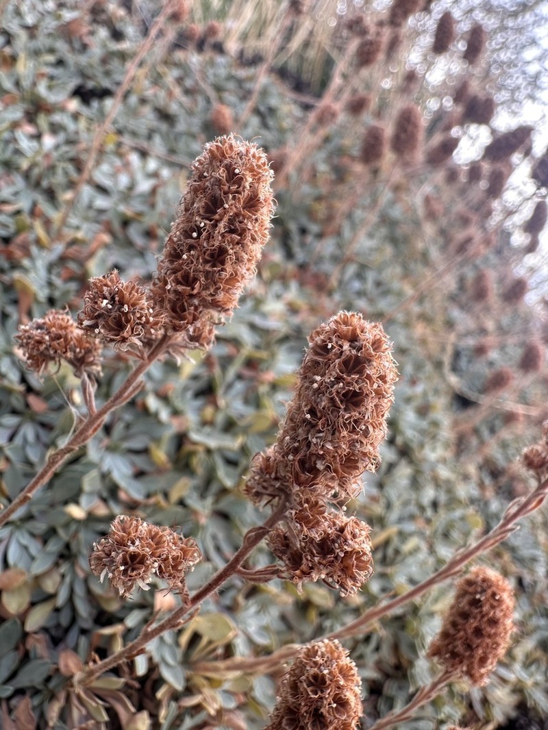 Mat Rockspirea photo 7