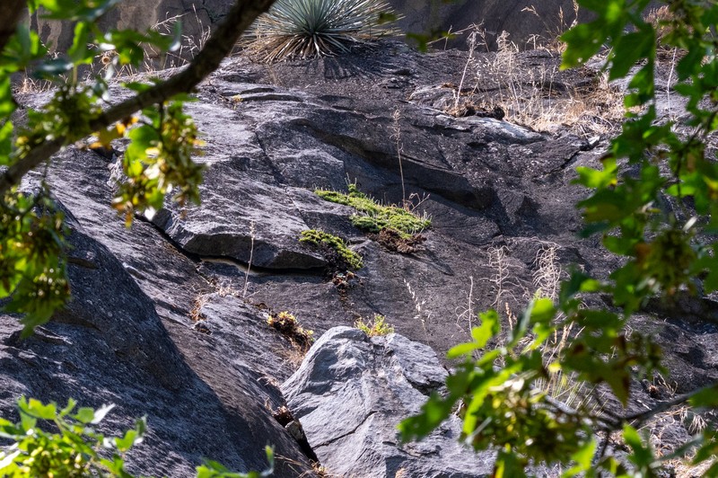 Big Arroyo Rockmat photo 3