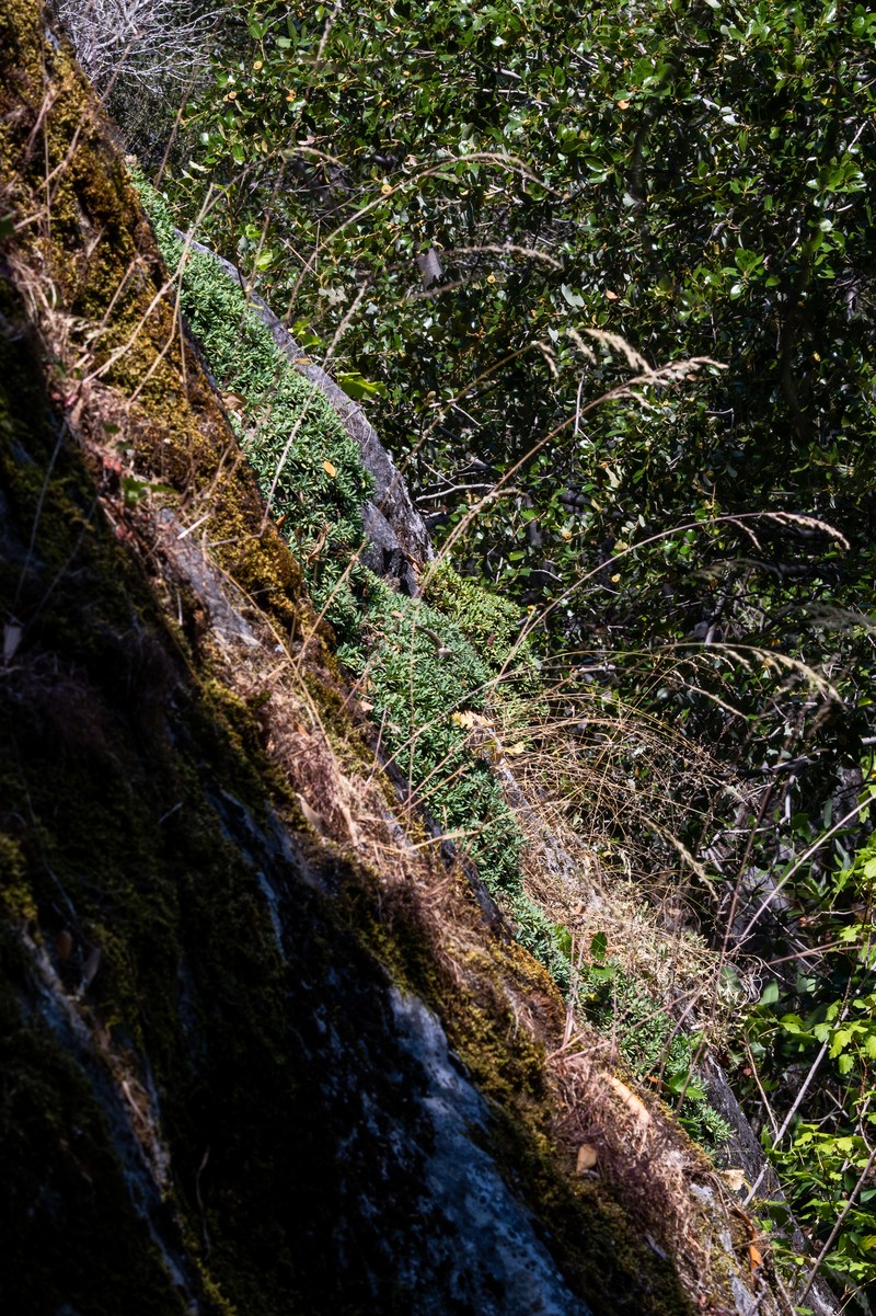Big Arroyo Rockmat photo 4