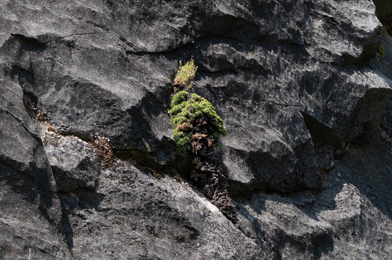 Big Arroyo Rockmat photo 5