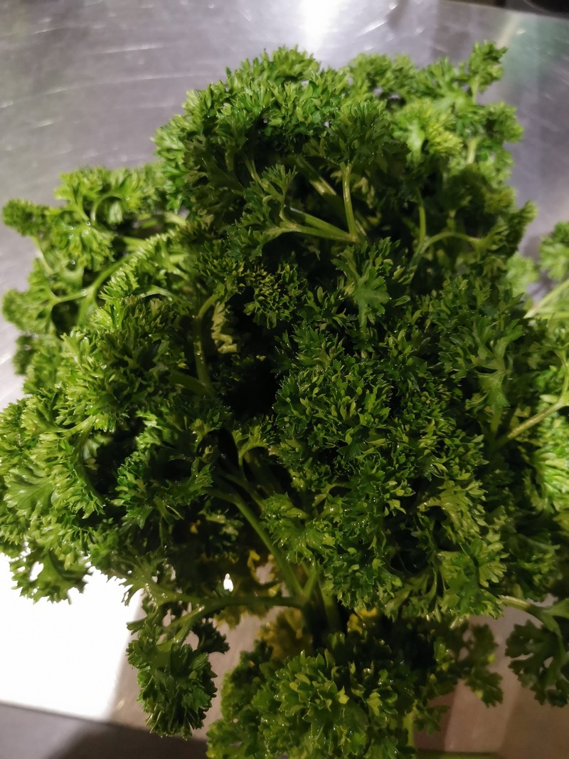 Petroselinum crispum subsp. crispum