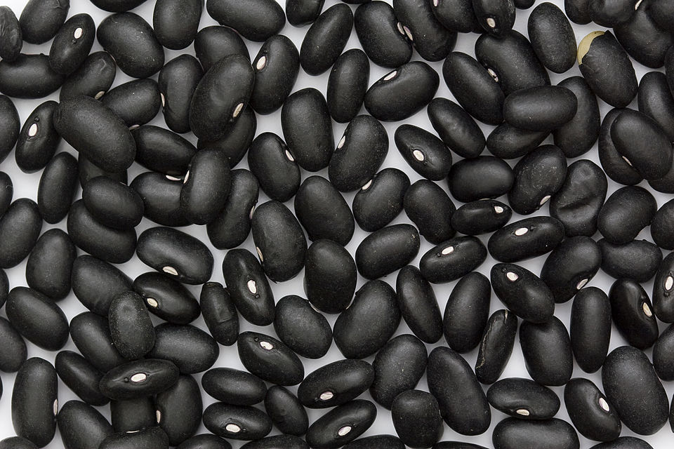 Kidney Bean photo 3