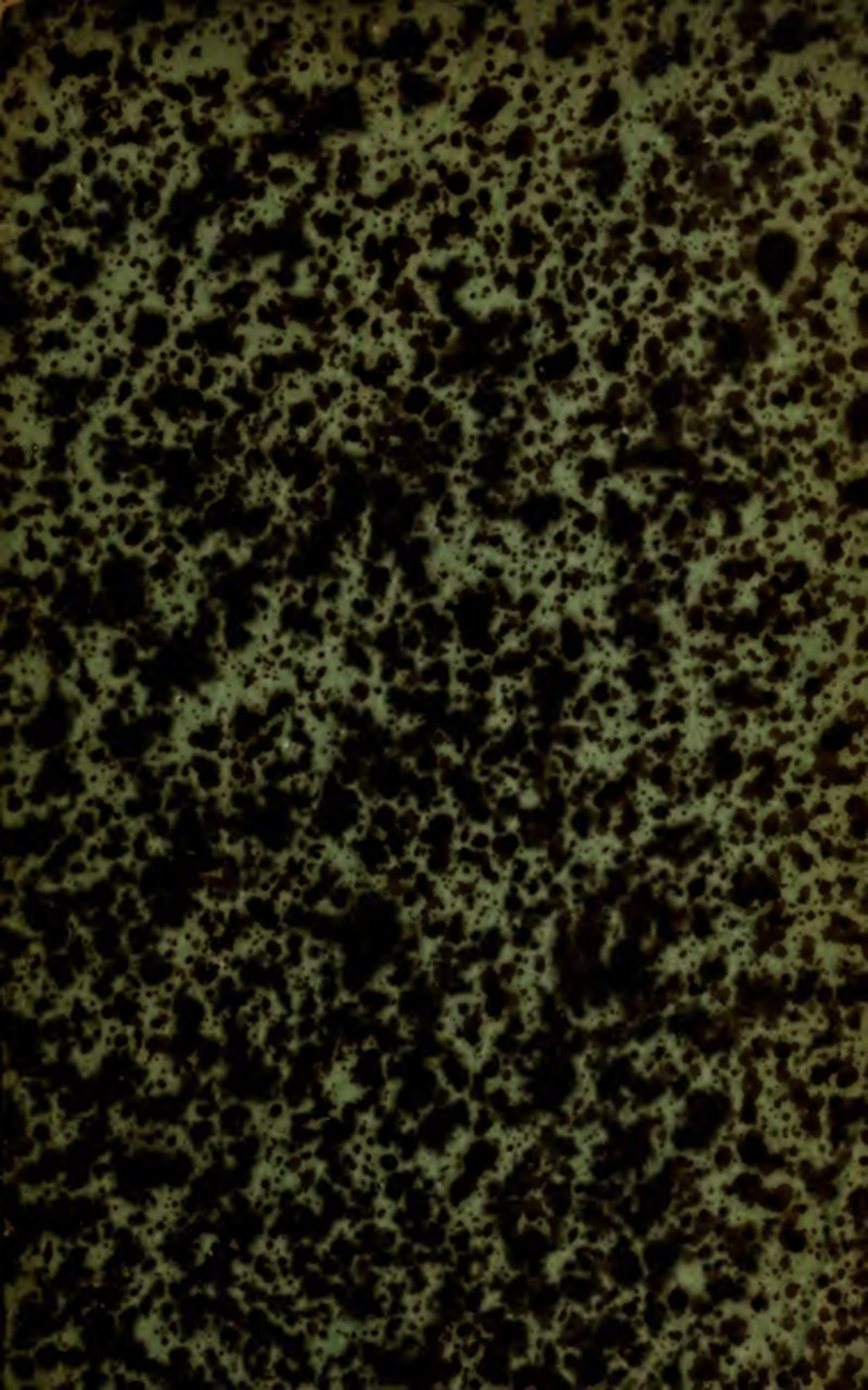 Palmer's Mock Orange