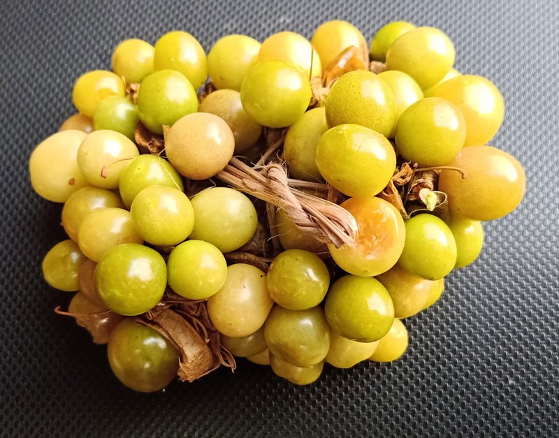 Cutleaf Groundcherry photo 5