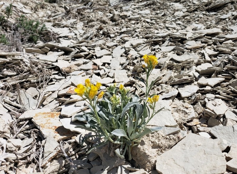 Dudley Bluffs Twinpod photo 3