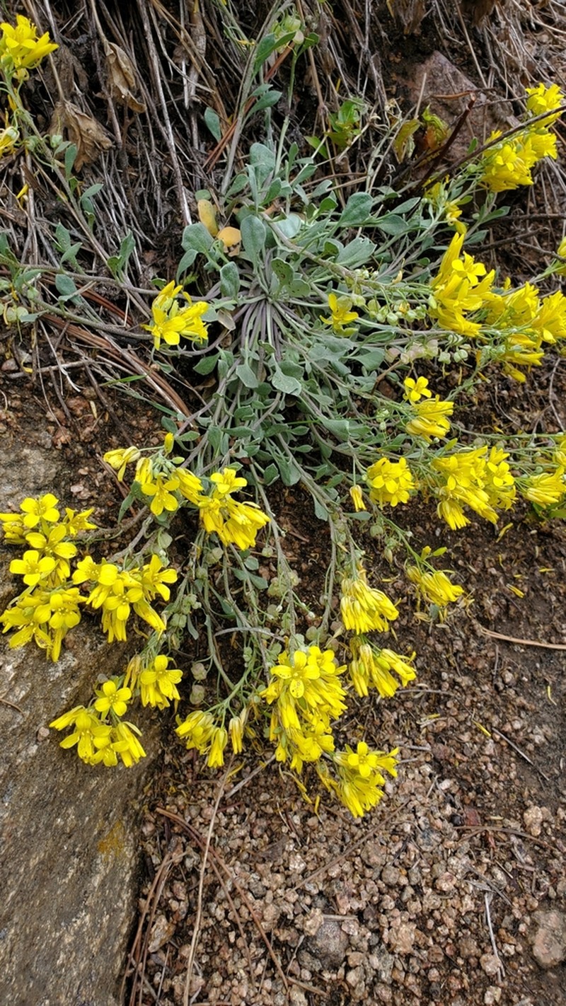 Roundtip Twinpod photo 8