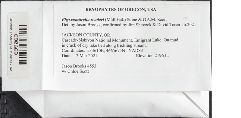 Reader's Physcomitrella Moss