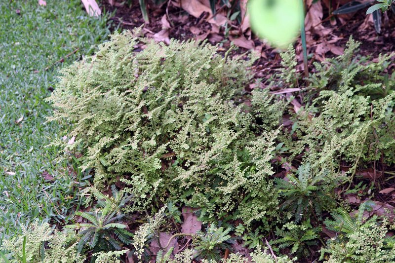 Artillery Plant photo 7