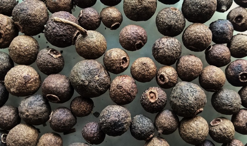 Allspice photo 5
