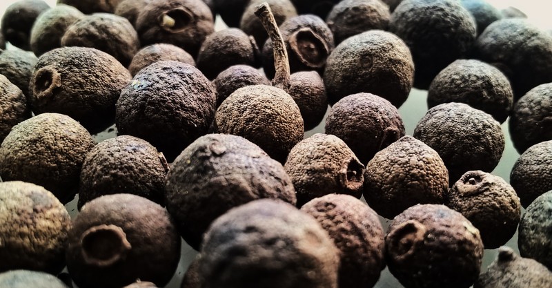 Allspice photo 6