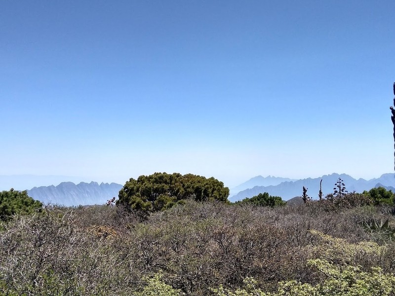Johann'S Pine photo 3