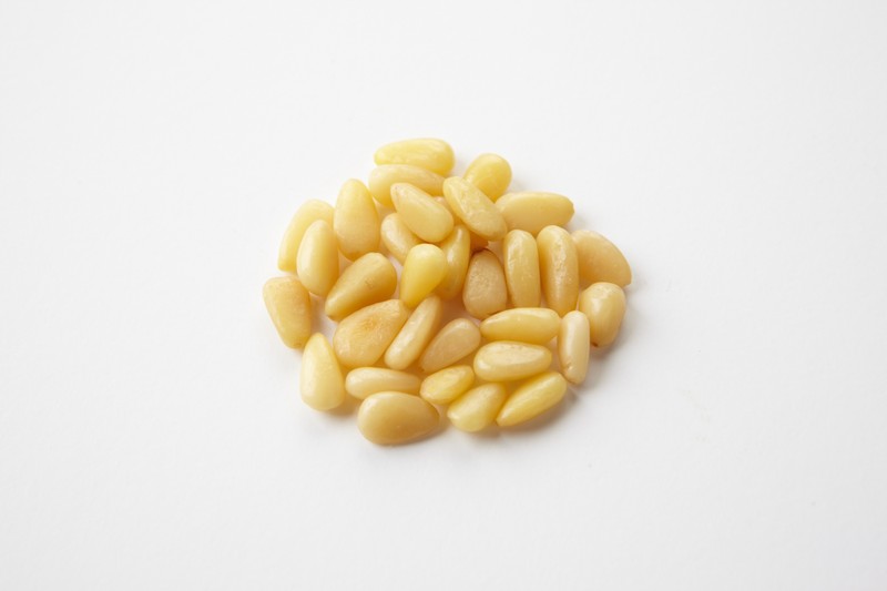 Chinese Pinenut photo 3