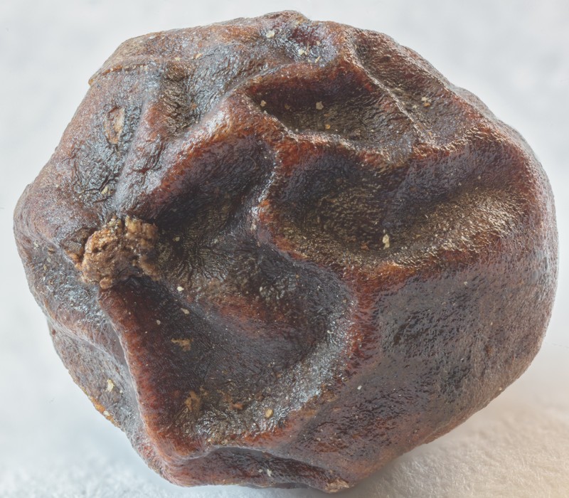 Black Pepper photo 3