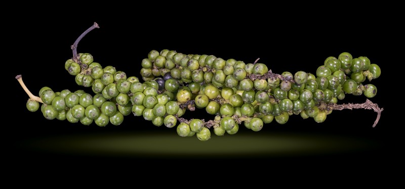 Black Pepper photo 4