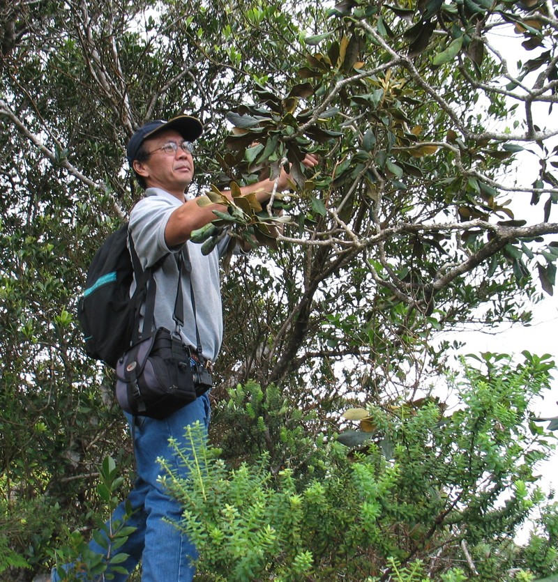 Ho'Awa photo 7