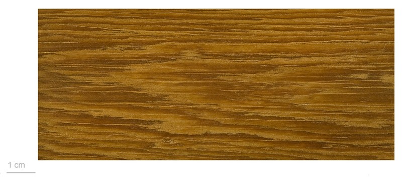 Platonia insignis photo 2