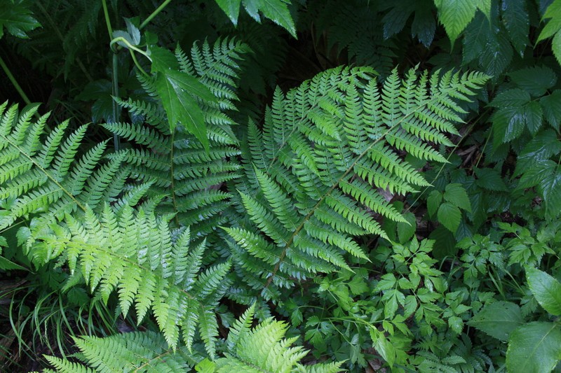 Attu Hollyfern photo 3