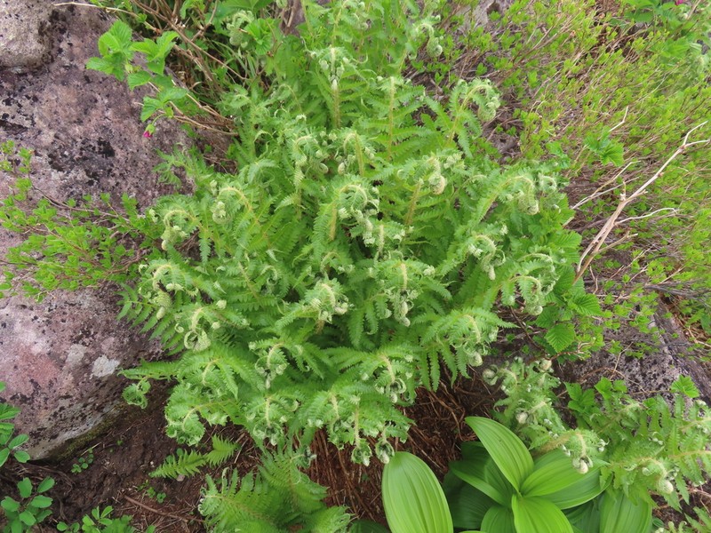 Attu Hollyfern photo 4