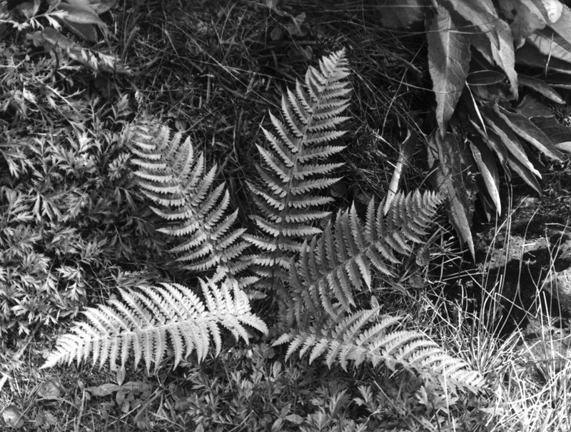 Attu Hollyfern photo 6