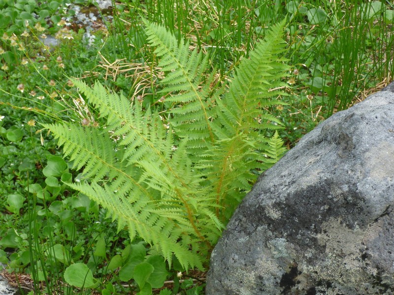 Attu Hollyfern photo 7