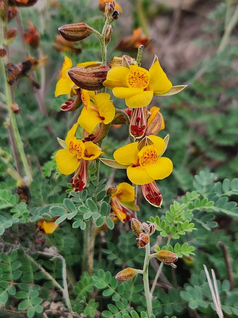 Texas Holdback