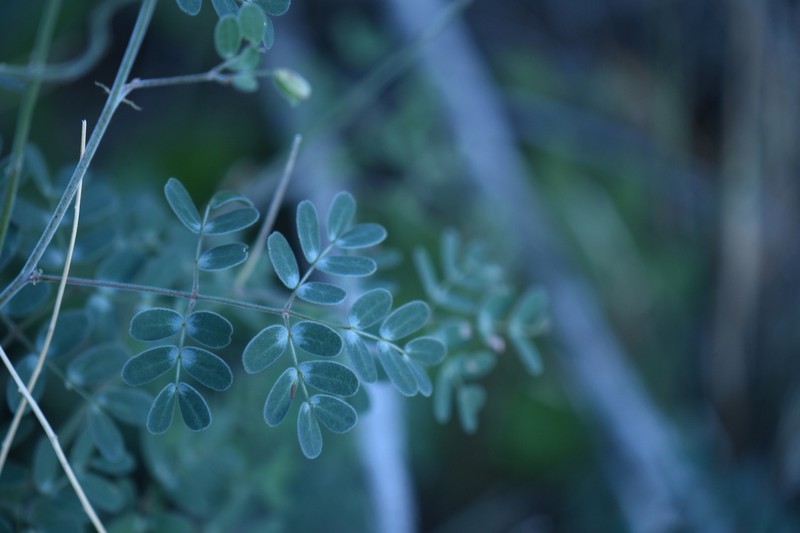 Parry's Holdback photo 3