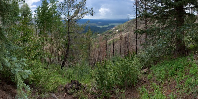 Parry Cottonwood photo 9