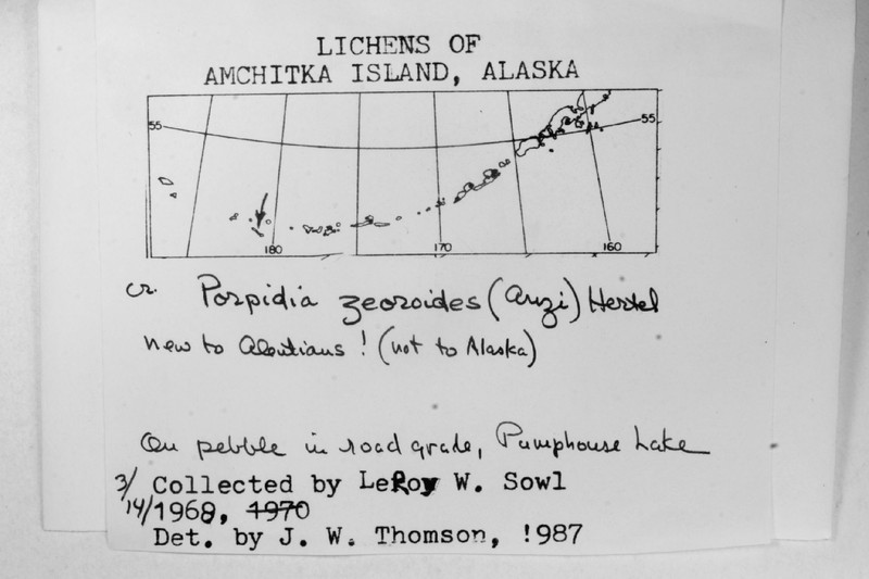 Porpidia Lichen photo 6