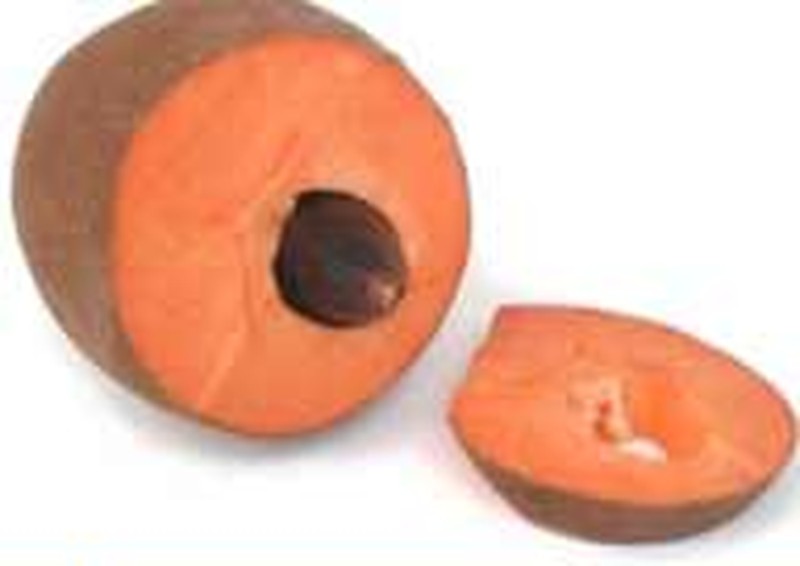 Mammee Sapote photo 8