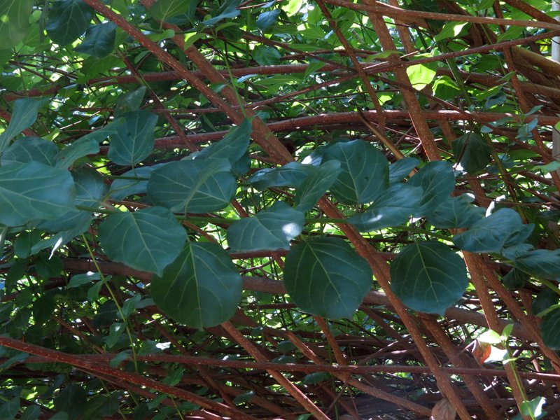 Malbau photo 8