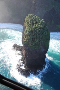 Lo'Ulu Lelo